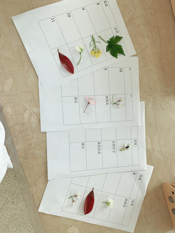 許萍萍3_副本.png 許萍萍3_副本.png