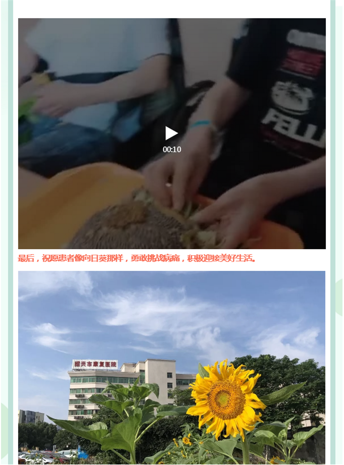 6.png 6.png